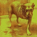 Обложка альбома Alice in Chains
