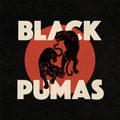 Обкладинка альбому Black Pumas
