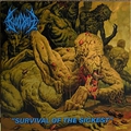 Обложка альбома Survival of the Sickest