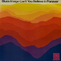 Обложка альбома Can't You Believe In Forever