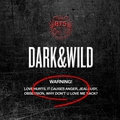 Обкладинка альбому Dark & Wild