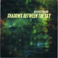 Обложка альбома Shadows Between the Sky