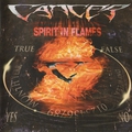 Обложка альбома Spirit in Flames