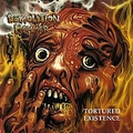 Обложка альбома Tortured Existence