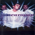 Обложка альбома Europop