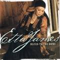 Обложка альбома Blues to the Bone