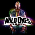 Обложка альбома Wild Ones