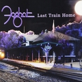 Обложка альбома Last Train Home