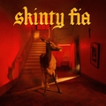 Обложка альбома Skinty Fia