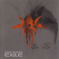 Обложка альбома Exile