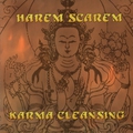 Обкладинка альбому Karma Cleansing
