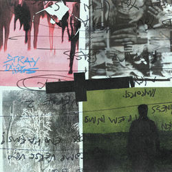 Обкладинка альбому Stray Dogs