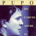 Обложка альбома Sei caduto anche tu