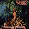 Обложка альбома Wargods of Metal