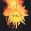 Обкладинка альбому Flaming Star