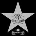 Обложка альбома Morning Star