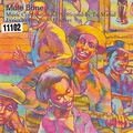 Обложка альбома Mule Bone