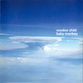 Обложка альбома Baby Monkey
