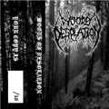 Обкладинка альбому Woods Of Desolation