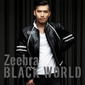 Обложка альбома Black World/White Heat
