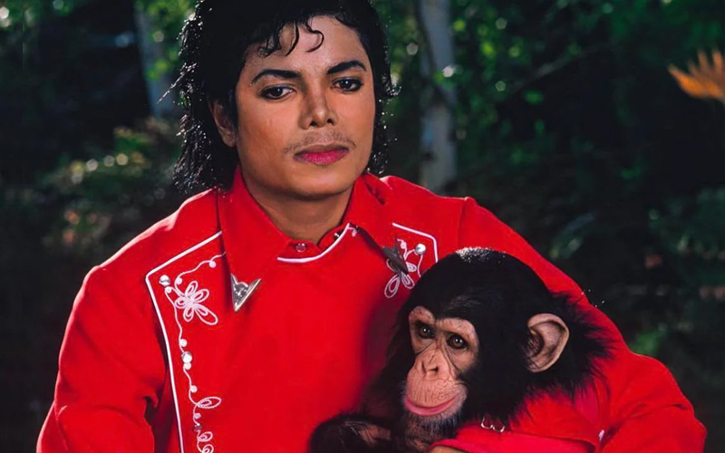 Куда делся шимпанзе Майкла Джексона Бабблз?